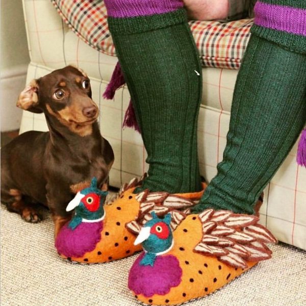 Handmade Felted Wool Pheasant Slippers with Suede Soles
